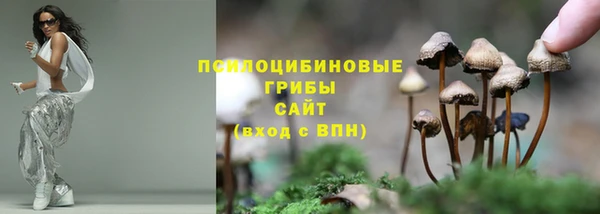 прущая мука Абаза